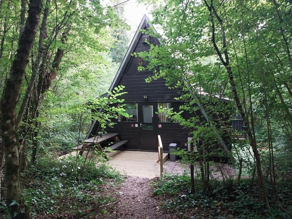 Villa De Bosannemoon In Durbuy Exterior foto